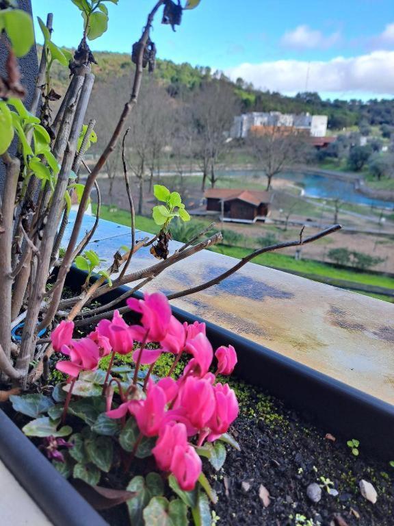 Olhos D' Agua Hotel Alcanena Kültér fotó